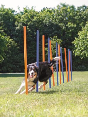 Agility slalompinnar 12st